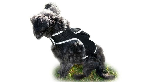 goGet Realtime Location Update w/ Pet Tracker GPS Tracking Collars for Dogs Size:XL