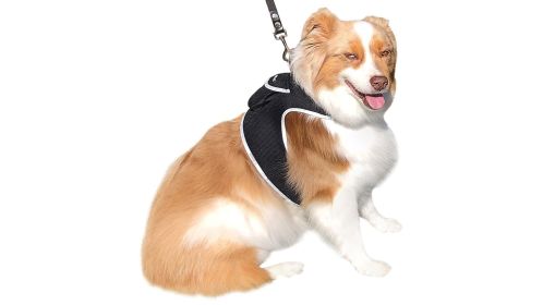 Pet Tracker GPS Dog Tracking Collars Device Realtime Pet Location Spotters Size:S