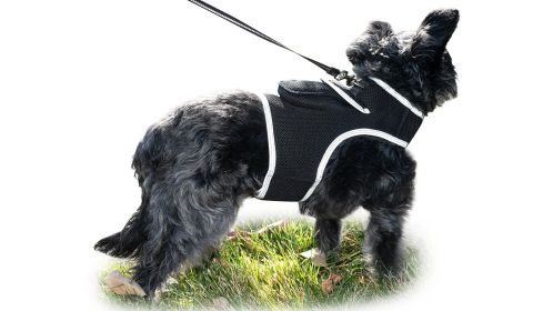 gosGet Realtime Location Update w/ Pet Tracker GPS Tracking Collars for Dogs Size:S