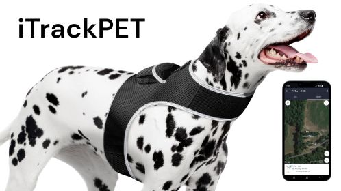 Get Detailed SMS with Small Waterproof GPRS GSM Pet Collar GPS Tracker Size:M
